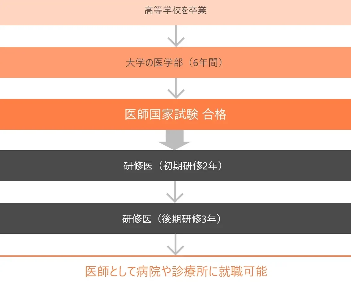 医学部 国家試験 いつ実施されるかを解説しま?